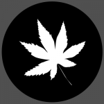 adxmarket's Avatar
